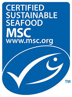 First Squid Fishery In The World Certified As Sustainable