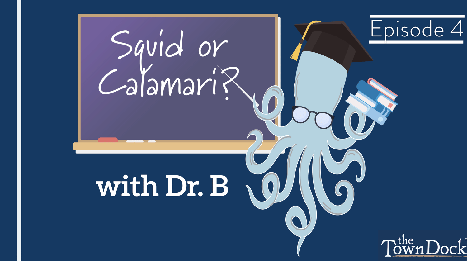 Episode 4: Is It Squid or Calamari? | The Town Dock