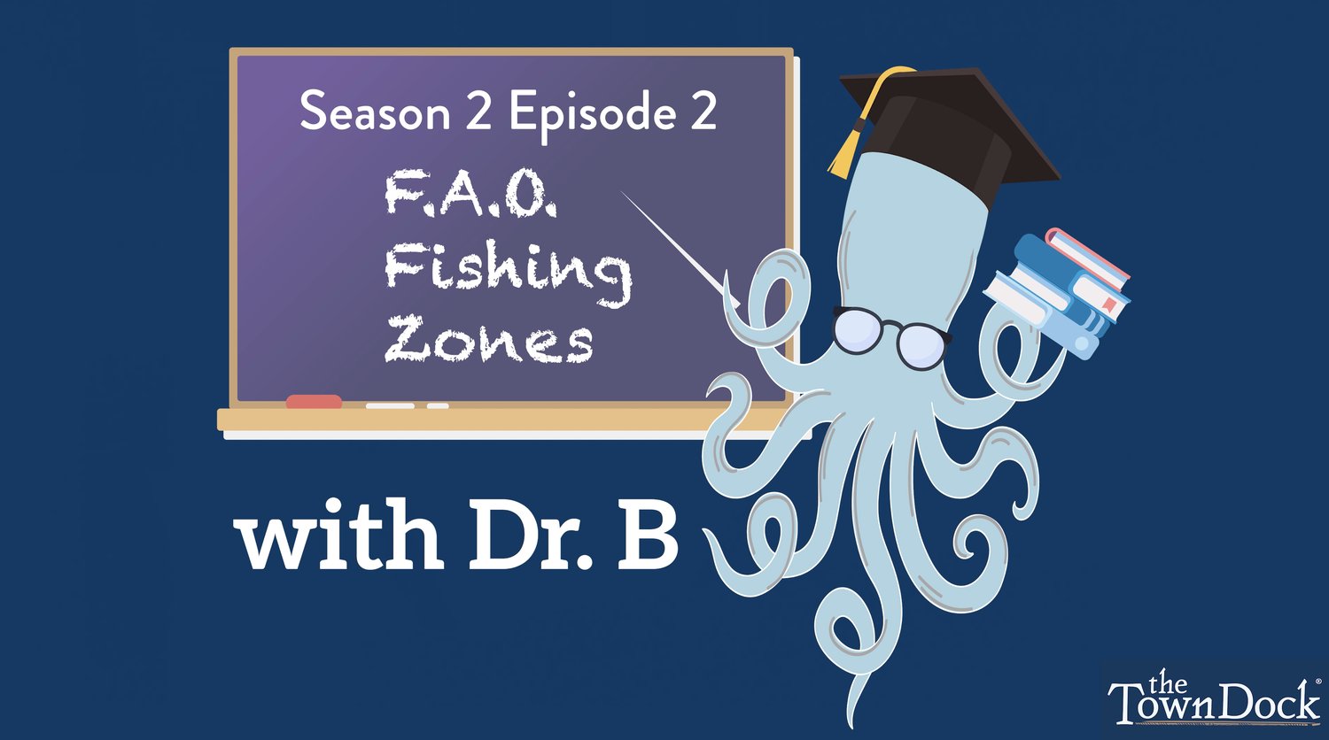 S2 E2: Where in the World Does Squid Come From?