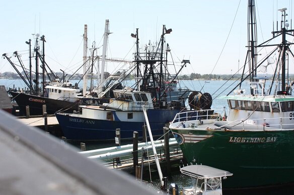 Free COVID-19 Vaccines: Commercial Fishermen & Employees Galilee